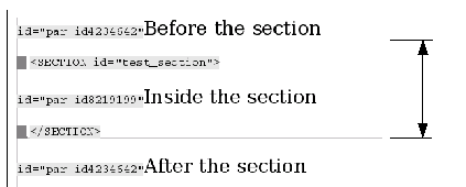 Figure 6: Placement of section tag