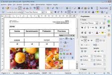 Pantallazo de Apache OpenOffice Writer